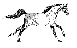 move3.gif